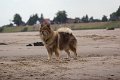 witte (27)
